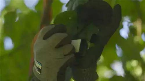 惟有這一些抓人眼球的戶外標(biāo)識(shí)才配叫創(chuàng)意！廣告主也滿意10