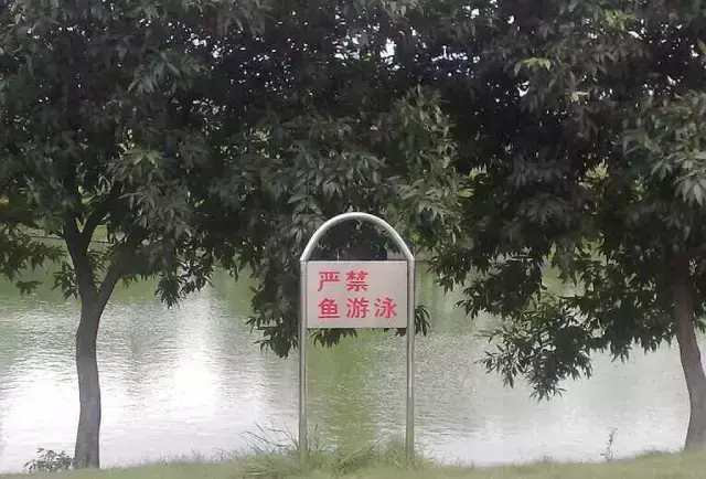 這些沙雕招牌廣告標(biāo)語，讓我站路邊笑了半天停不下來23