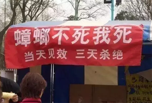 這些沙雕招牌廣告標(biāo)語，讓我站路邊笑了半天停不下來17