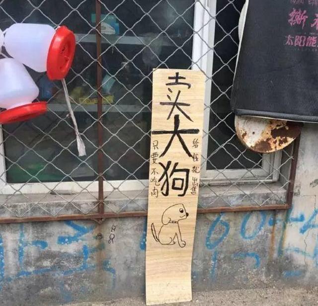 中國街頭雙面字廣告牌有多野？看看這一些讓人笑掉大牙的牌子名20