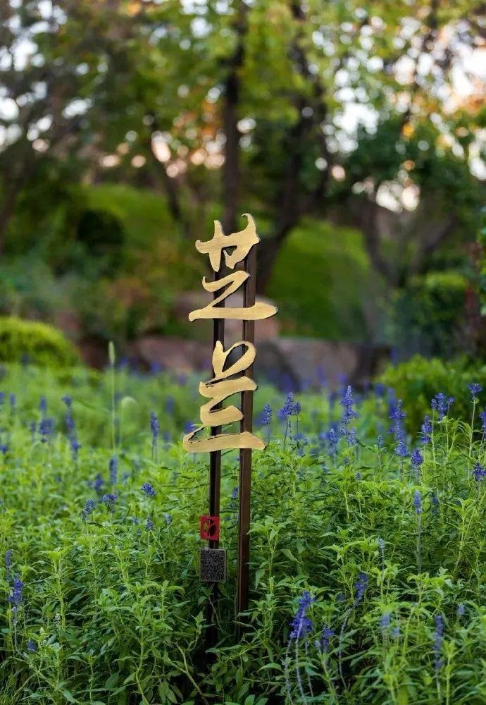 中國風(fēng)LOGO標(biāo)牌案例分享，美15
